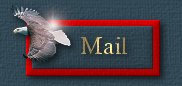 Email MsBeast
